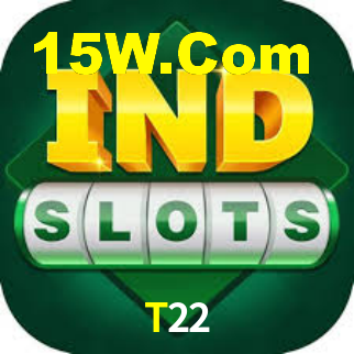 T22 App Interface